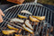 Höfats Triple Grille 45 pour grillades 