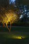 Les Jardins Spot lumiWireless Solar Naire 600 Lumens