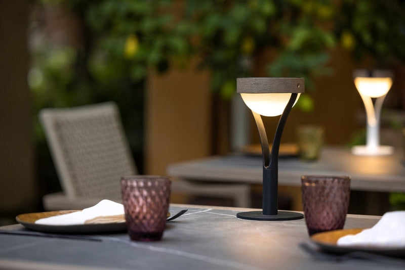 Les Jardins Tyble Lampe de table solaire 200 Lumens 